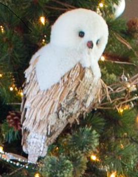 Photo by Liz Donnelly